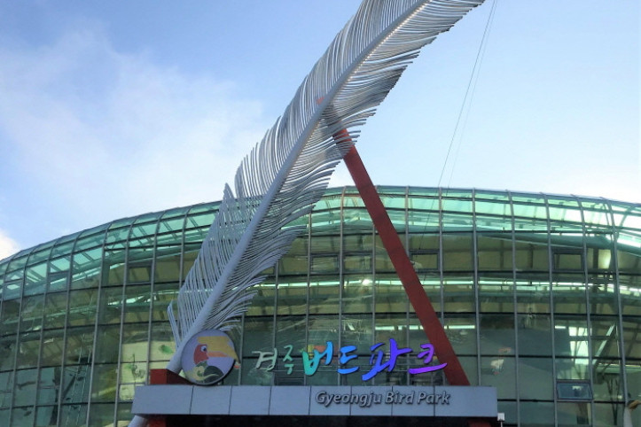 경주 버드파크 여행 추천 - 메고지고