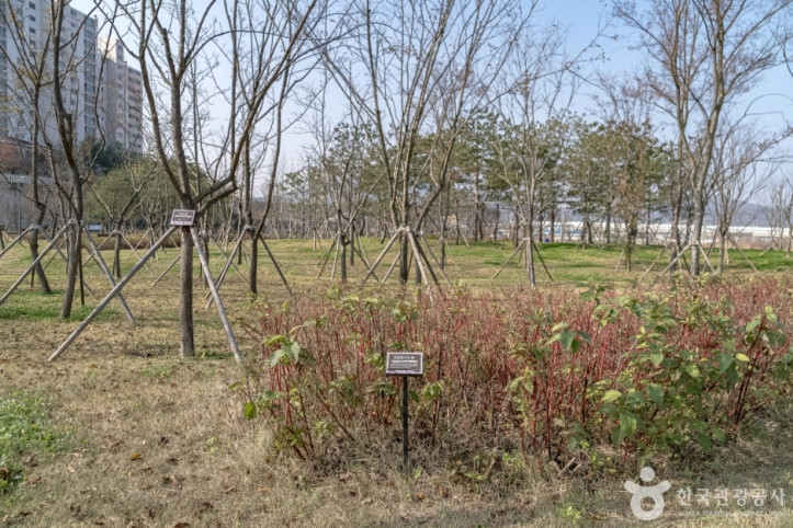 수풀로 영문리 여행 추천 - 메고지고