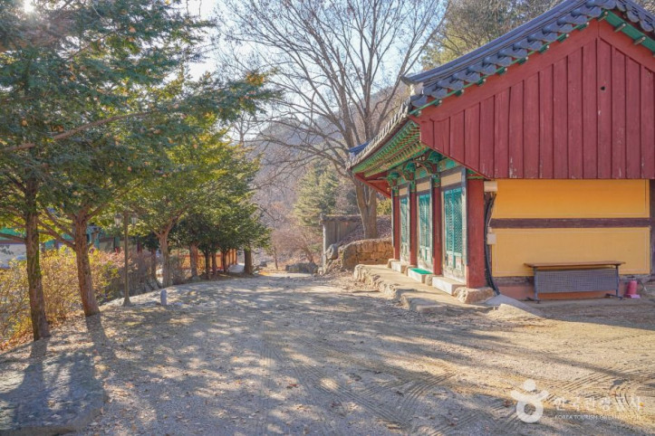 사나사(양평) 여행 추천 - 메고지고