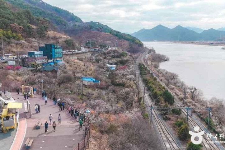 순매원 여행 추천 - 메고지고