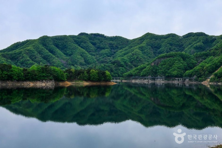 옥정호 출렁다리 및 붕어섬생태공원 여행 추천 - 메고지고