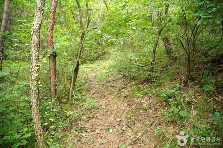 국지산 여행 추천 - 메고지고