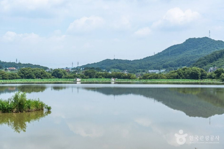 월랑저수지 여행 추천 - 메고지고