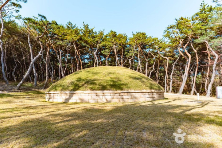 경주 헌강왕릉 여행 추천 - 메고지고