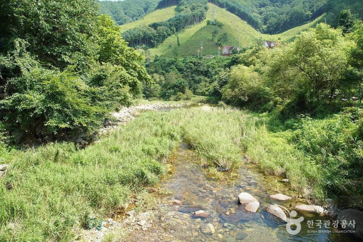 지암계곡 여행 추천 - 메고지고