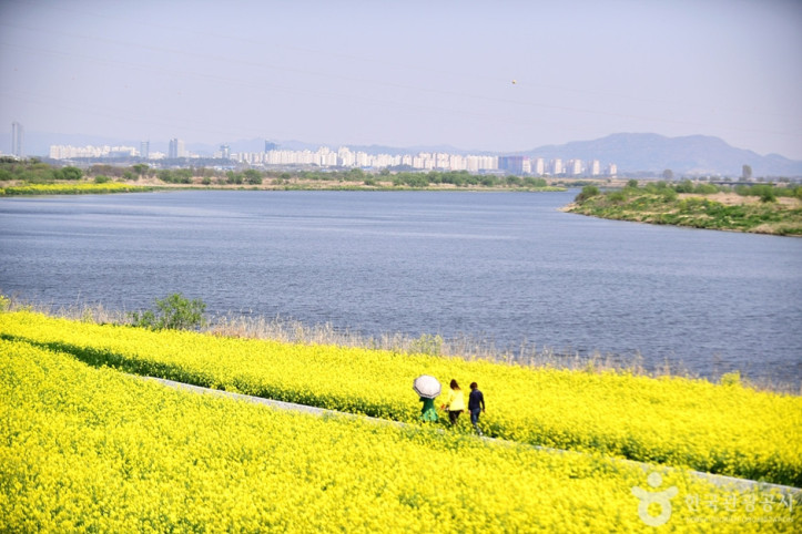 영산강둔치체육공원 여행 추천 - 메고지고