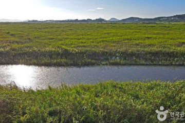 산이반도 여행 추천 - 메고지고