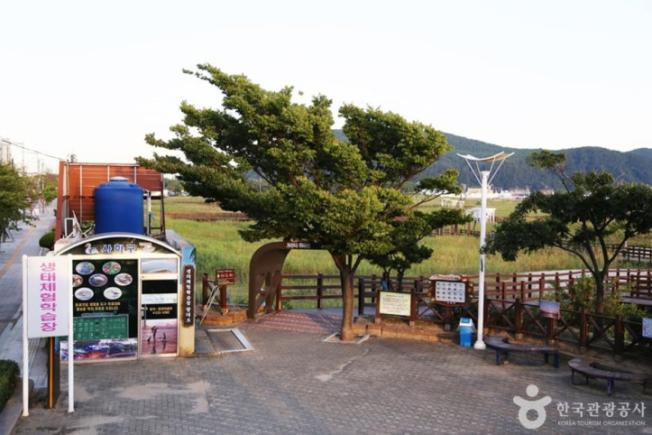 다대포생태탐방로 여행 추천 - 메고지고