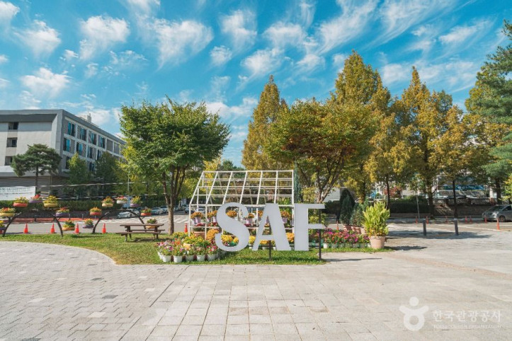 보라매공원(대전) 여행 추천 - 메고지고