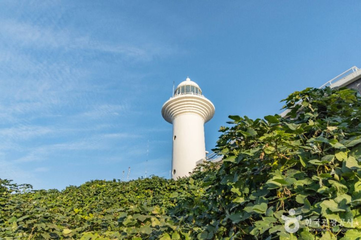 울릉도 등대(태하등대) 여행 추천 - 메고지고