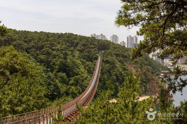 대왕암공원 출렁다리 여행 추천 - 메고지고