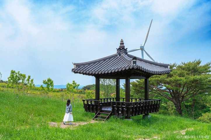 경주 풍력발전(바람의언덕) 여행 추천 - 메고지고