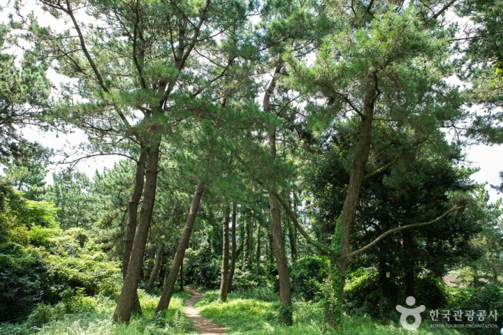 두산봉 여행 추천 - 메고지고