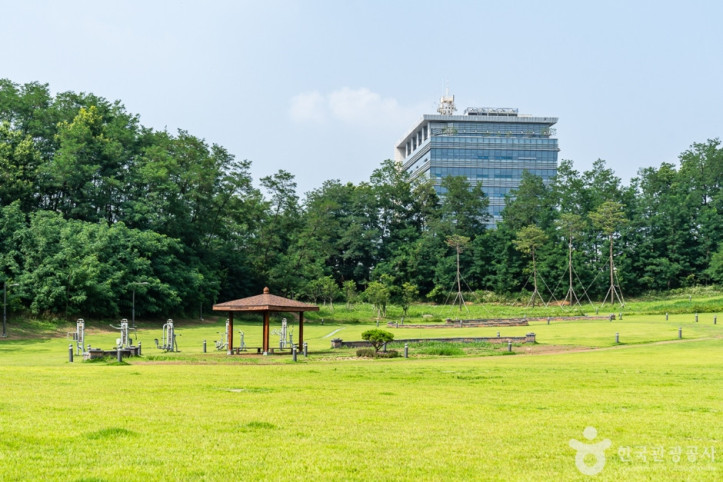 천안시민체육공원 여행 추천 - 메고지고
