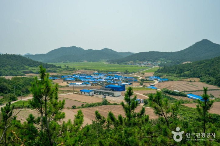 비금도 내촌마을 옛 담장 여행 추천 - 메고지고