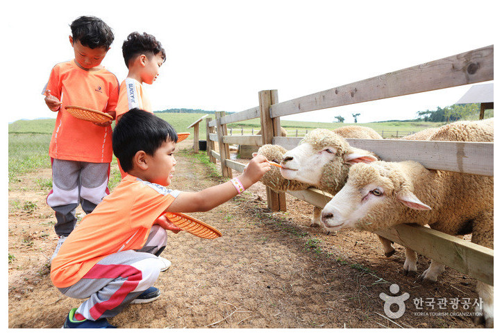 상하농원 여행 추천 - 메고지고