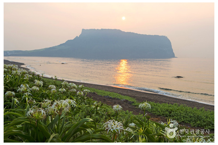 성산일출봉 [유네스코 세계자연유산] 여행 추천 - 메고지고
