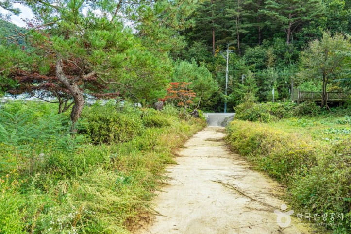 봉황둘레길 여행 추천 - 메고지고