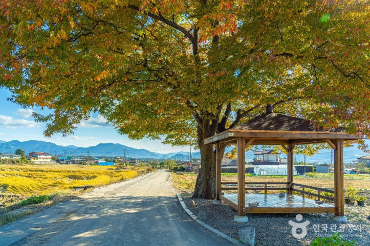 방광마을 여행 추천 - 메고지고