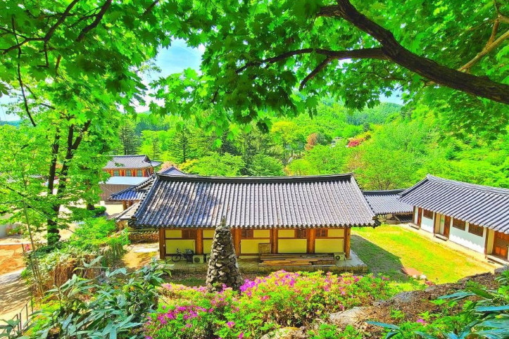 묘적사 여행 추천 - 메고지고