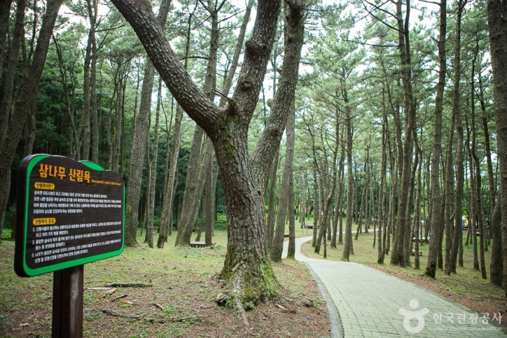장생의숲길 여행 추천 - 메고지고