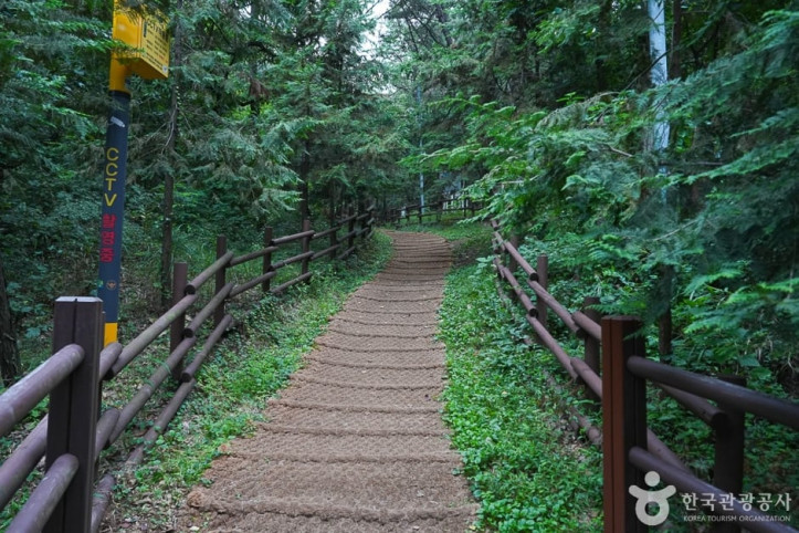 계양산 여행 추천 - 메고지고