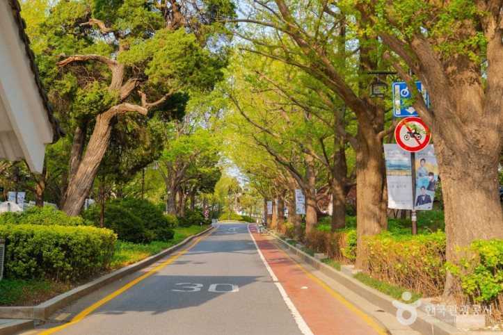 청와대 앞길 여행 추천 - 메고지고