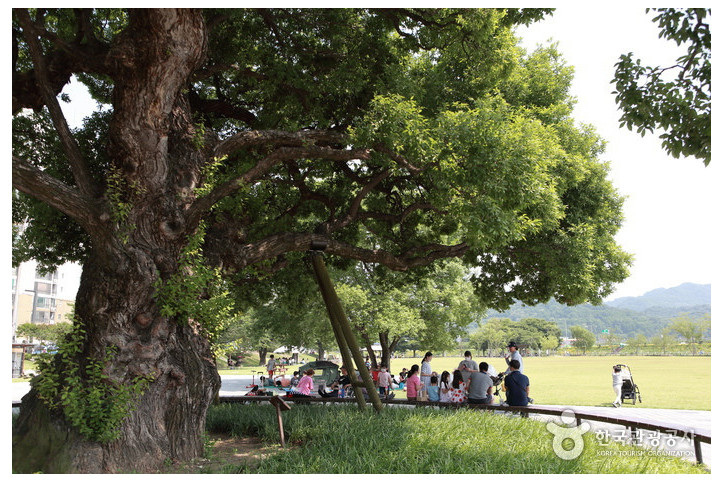 성주 경산리 성밖숲 여행 추천 - 메고지고