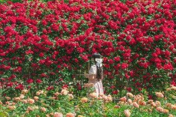 이현공원 여행 추천 - 메고지고