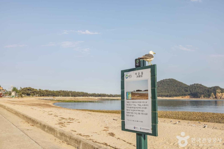 어은돌해수욕장 여행 추천 - 메고지고