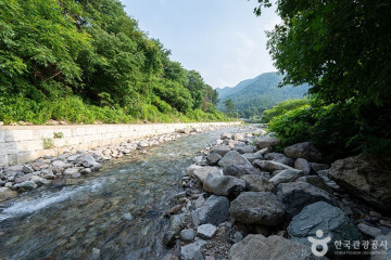 보가산성지(지장산) 여행 추천 - 메고지고