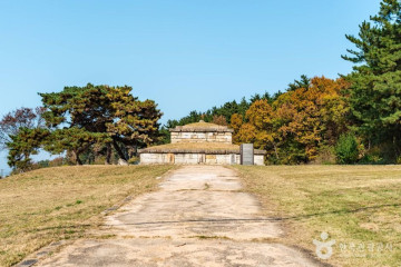 경주 선덕여왕릉 여행 추천 - 메고지고