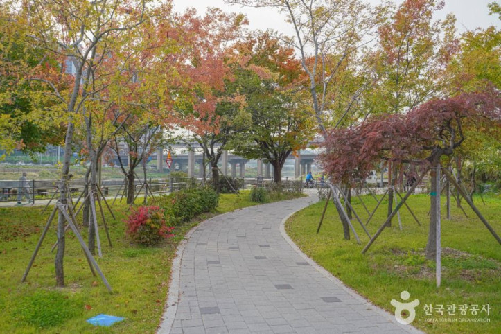 살곶이체육공원 여행 추천 - 메고지고