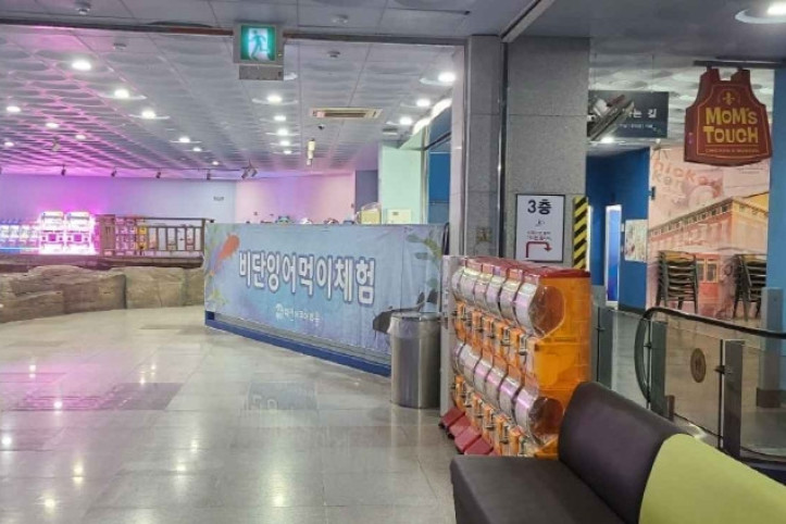 대전아쿠아리움 여행 추천 - 메고지고
