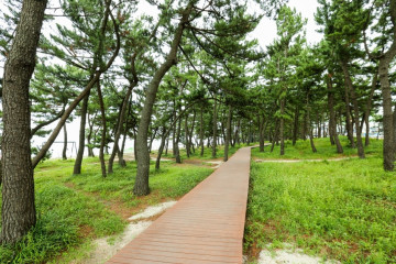 경포도립공원 여행 추천 - 메고지고