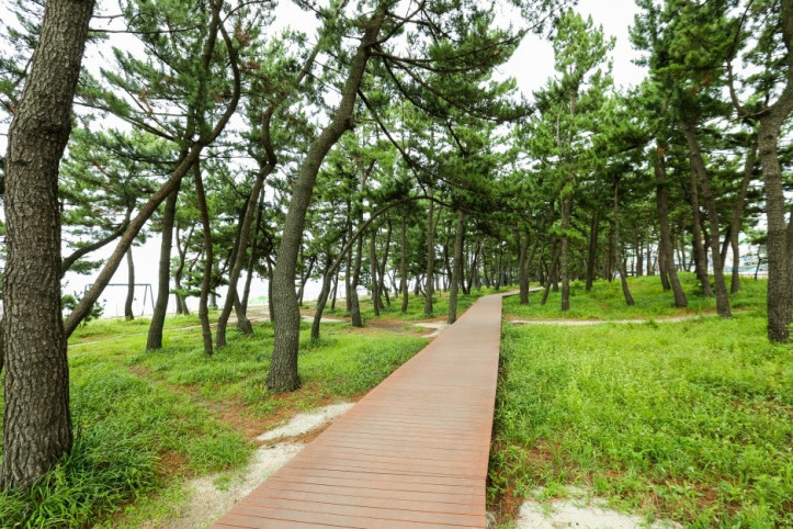 경포해수욕장 여행 추천 - 메고지고