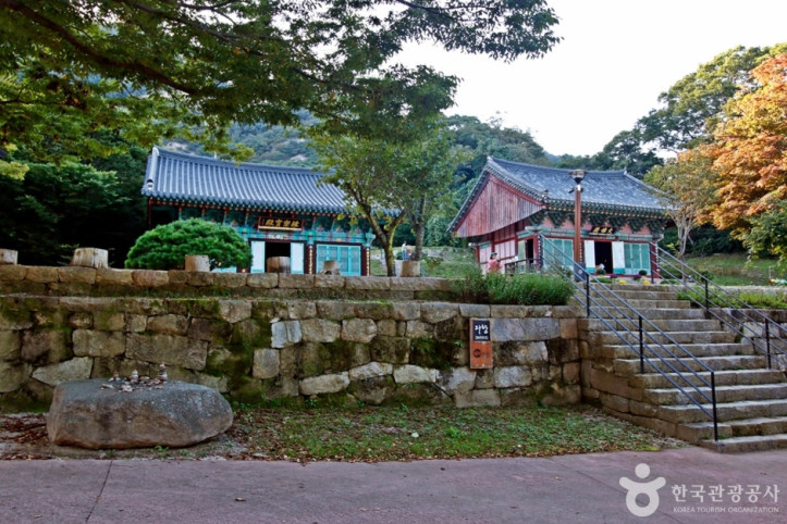 영국사(영동) 여행 추천 - 메고지고