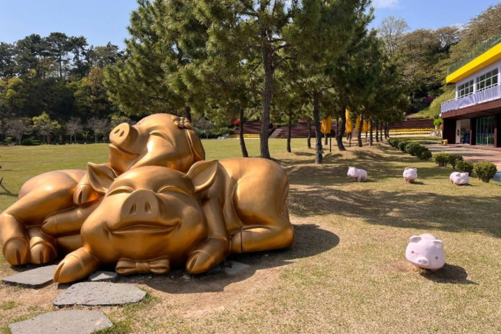 돝섬(창원) 여행 추천 - 메고지고