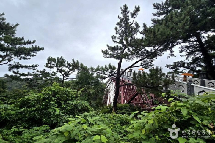 선임교 여행 추천 - 메고지고