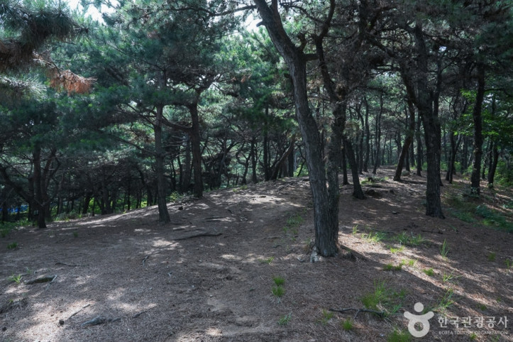 영신공원 여행 추천 - 메고지고