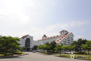 고성 금강산 여행 추천 - 메고지고