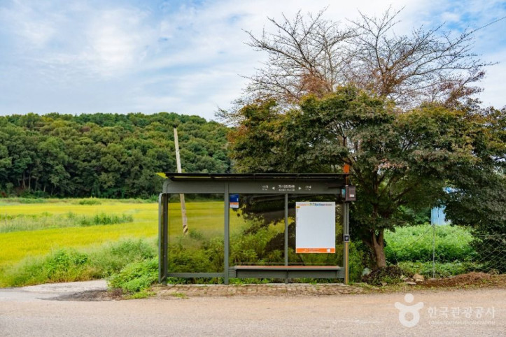 화성가시리마을 여행 추천 - 메고지고