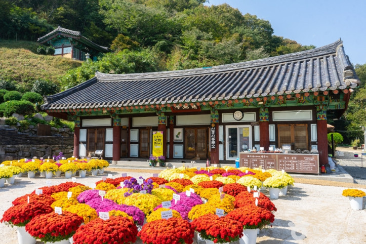 신흥사(울산) 여행 추천 - 메고지고
