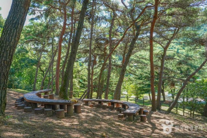 금병공원 여행 추천 - 메고지고