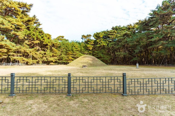 경주 경애왕릉 여행 추천 - 메고지고