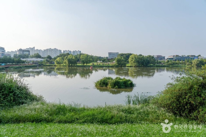 배다리지 여행 추천 - 메고지고
