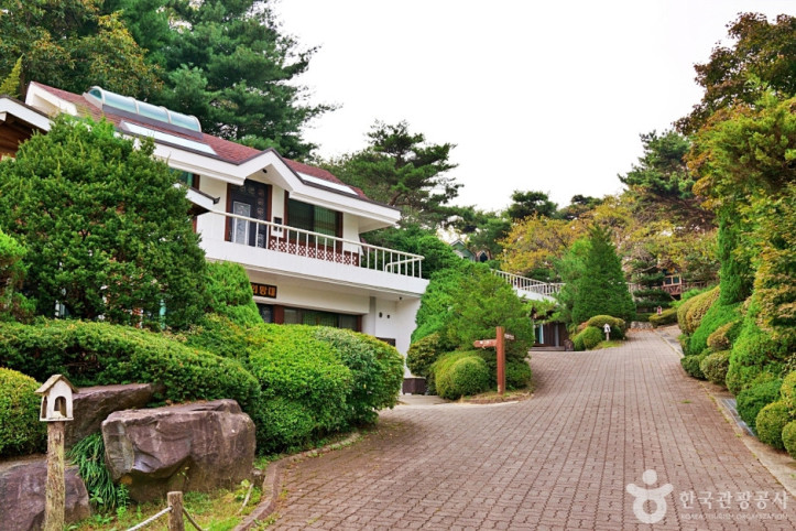 보광산관광농원 여행 추천 - 메고지고