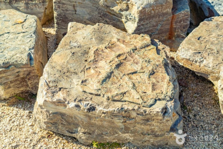 서유리 공룡화석지 (무등산권 국가지질공원) 여행 추천 - 메고지고