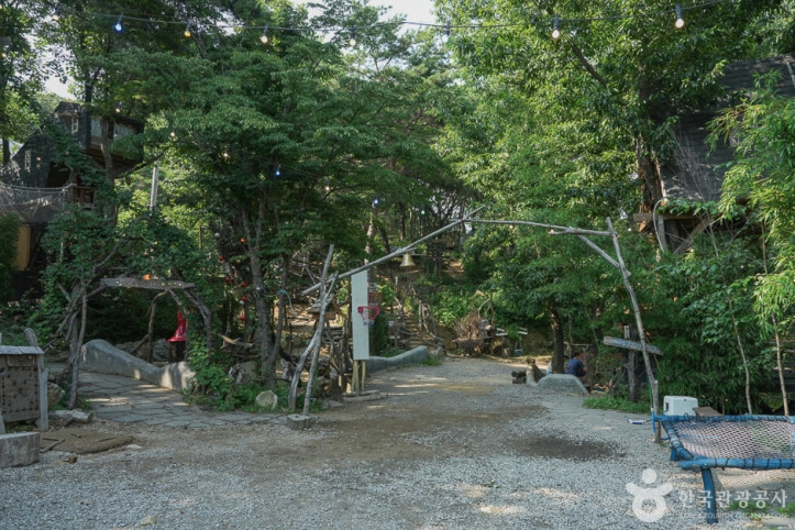 톰아저씨 트리하우스 여행 추천 - 메고지고