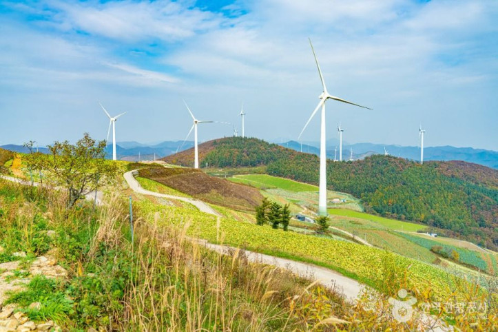 매봉산풍력발전단지(바람의 언덕) 여행 추천 - 메고지고